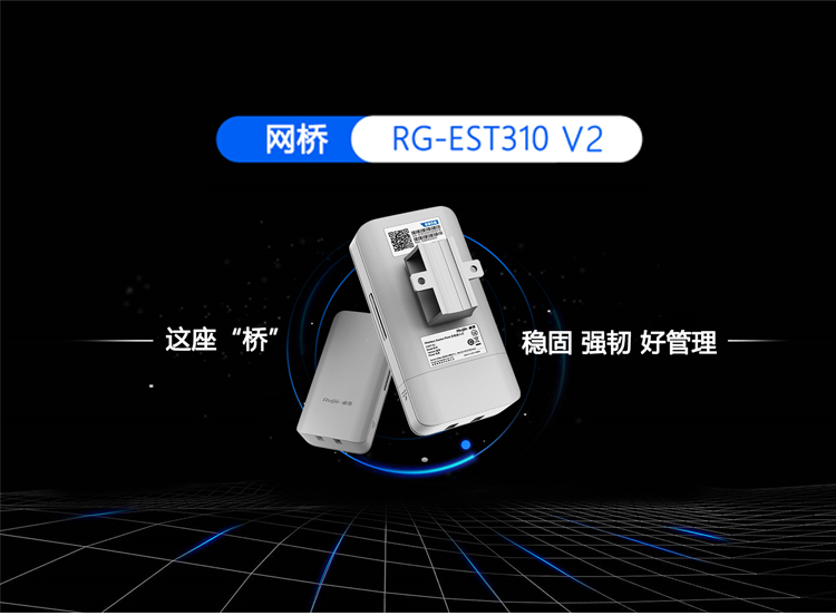 RG-EST310 V2?????_01.jpg